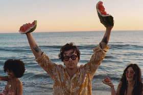 Harry Styles wearing Gucci sunglasses in Watermelon Sugar