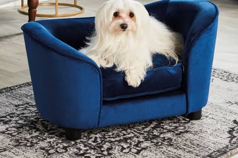 Small Navy Pet Sofa Bed