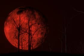 A red full moon. Image: kmls - stock.adobe.com