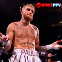 Jake Paul is a Youtube star turned boxer 