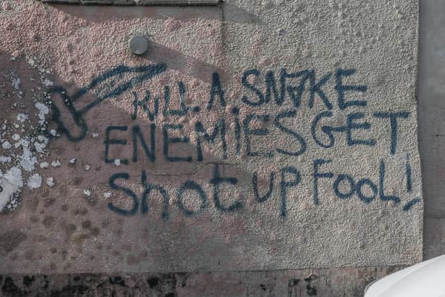 Vile graffiti such as this can be found on the UK’s ‘most neglected street’ - Credit: SWNS