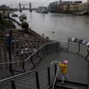 The Thames had been declared 'biologically dead' in 1957 (Photo: Dan Kitwood/Getty Images)