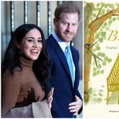 Meghan’s debut publication, called The Bench is released today (Getty Images and Penguin Random House)