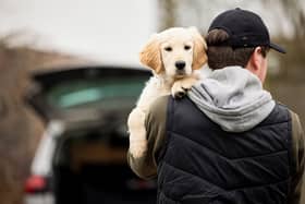 Environment Secretary George Eustice said there has been a “worrying” rise of pet thefts during the Covid pandemic, but said the creation of the pet theft taskforce will help deal with the issue (Photo: Shutterstock)