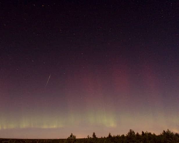 A Draconid meteor near Skekarsbo at the Farnebofjardens national park 150 kilometers north of Stockholm in 2011 (Photo: P-M HEDEN/AFP via Getty Images)