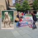 Campaigners against the banning of XL Bullies took to the streets of Sheffield. Inset: File picture of an XL Bully. Photo: AdobeStock / National World