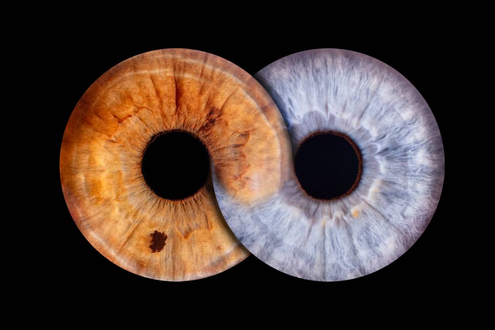 Eyeconic captures the beauty of eyes through high-definition iris imagery