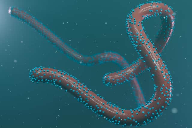 Rwanda declared an outbreak of the Marburg virus on September 27.