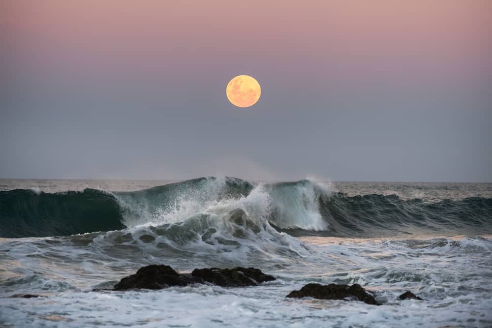 The supermoon, called Beaver Moon, rises in the UK at around 3.30pm GMT.