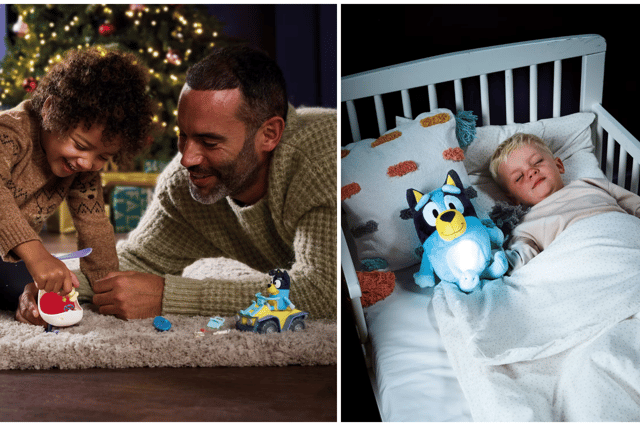 Great gifts for fans of Bluey