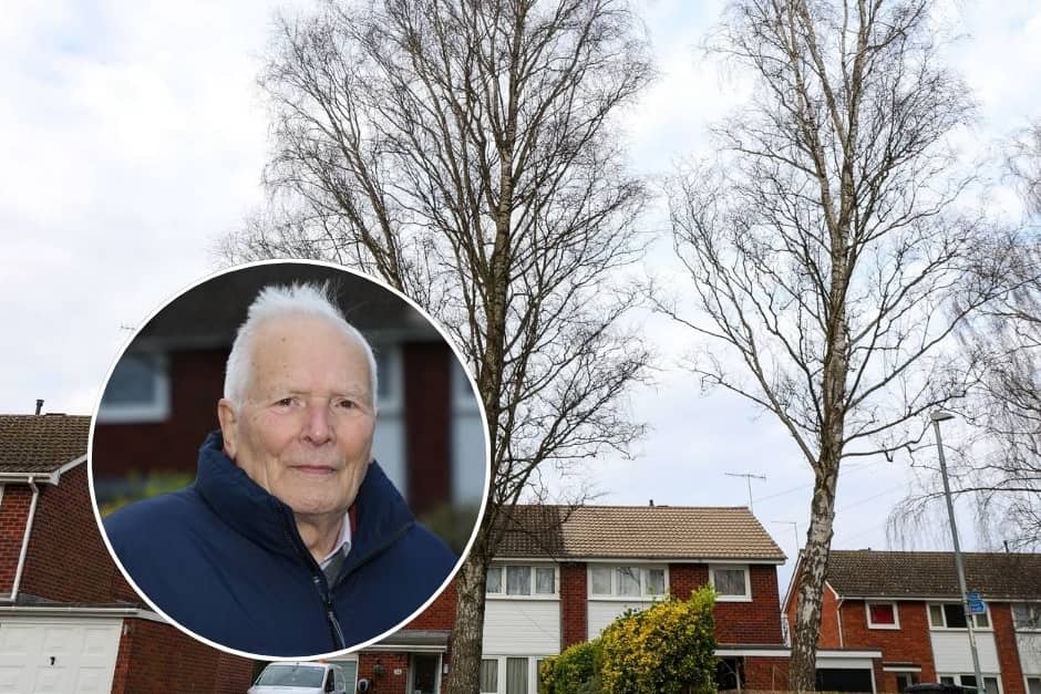 Worcester City Council insists the tree in Columbia Drive poses no immediate risk and has issued a protection order for it. Inset: Chris Davis 