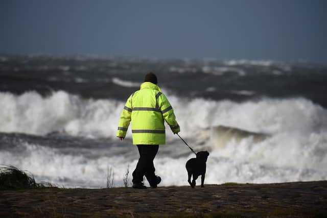 Storms can be a distressing time for our pets.