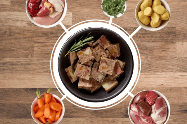 Tails is one of the top pet food companies in the UK