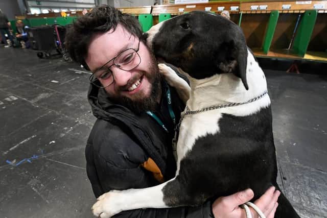 SANDWELL COPYRIGHT NATIONAL WORLD TIM THURSFIELD -06/03/25First day of Crufts at NEC, Birmingham.Reporter Daniel Walton with Murphy from Dudley.