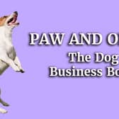 Happy playful Jack Russell Terrier dog playing