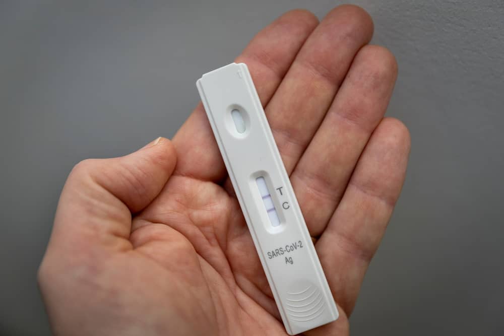 A new Covid strain is currently "under monitoring" by the World Health Organisation. 