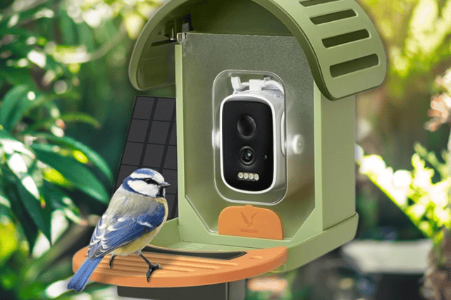 The VINGUYS Bird Feeder Camera brings tech to birdwatching