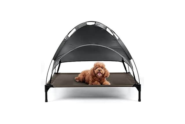 Petlicity Elevated Dog Bed with Canopy