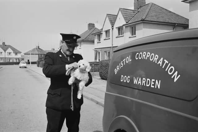 Do you remember seeing white dog poo everywhere in the 1970s?