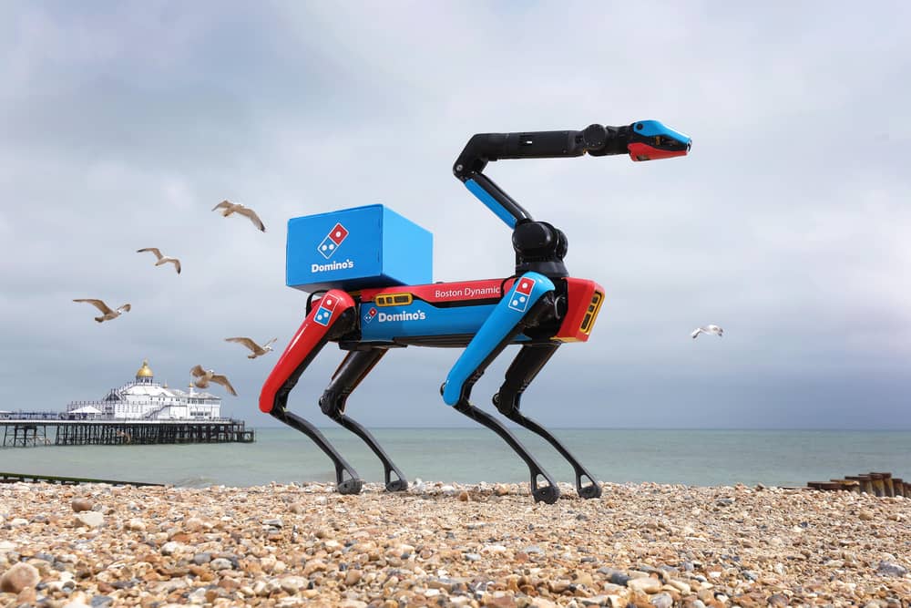 Domino's launches Domi Dog