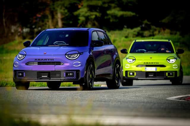 There are two colours available - and they're both a bit bonkers