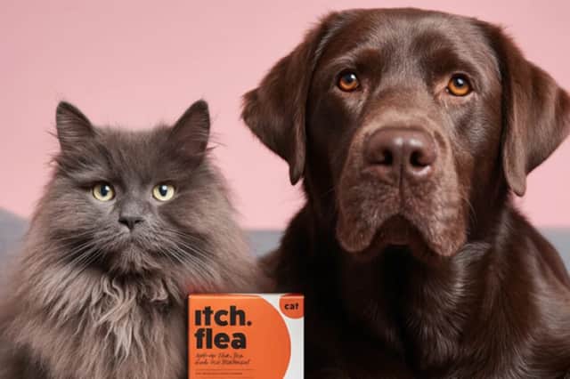 Itch petcare