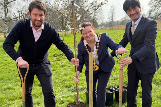 David Taylor MP planting a Japanese cherry blossom tree at Gadebridge Park with Minister Kotaro Katsuki (Head of the Political Section at the Embassy of Japan) & Mayor Catherine McArevey.