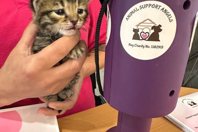 Marlowes Charity Drive