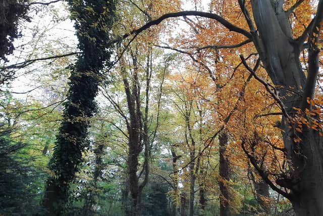 Autumn colour on the Nickey Line