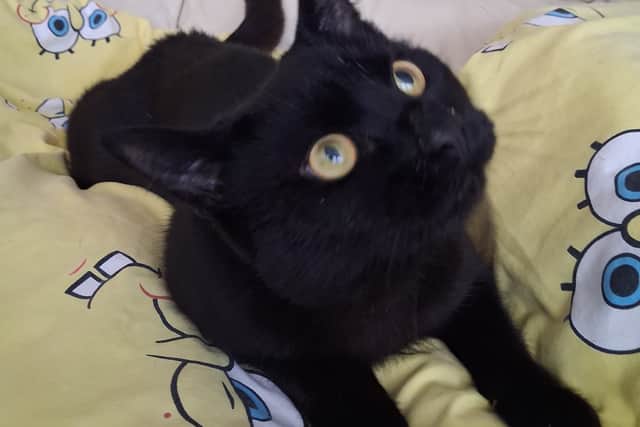 Jet