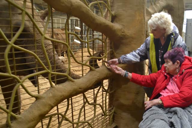 Elephant experience brings back childhood memories for Marian