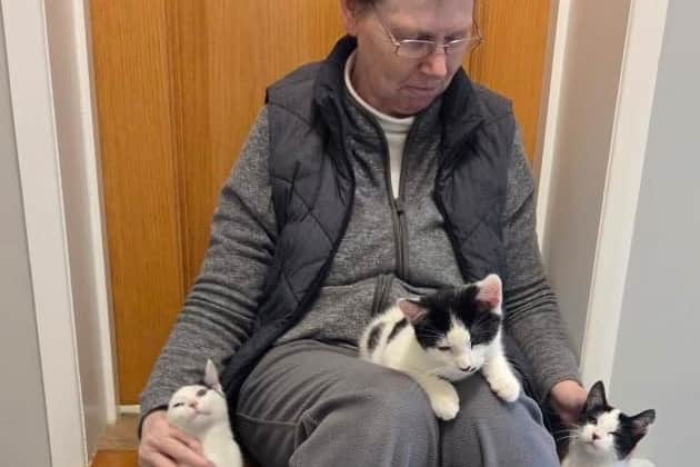 Jacqui Lines fosters cats for Blue Cross