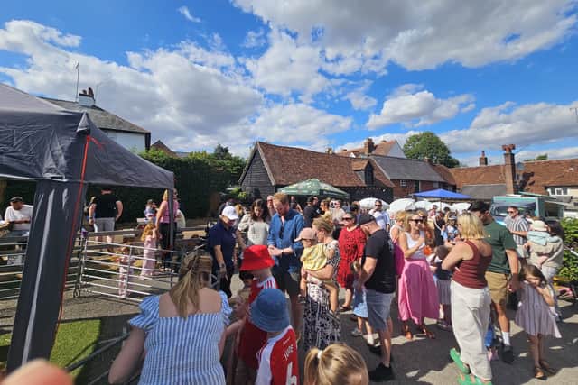 Crowds for the adorable pigs at the Northchurch event