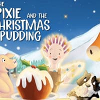 The Pixie and the Christmas Pudding at The Old Town Hall in Hemel Hempstead!