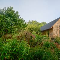 Rare bats discovered near Hemel Hempstead to benefit from new conservation project this Halloween