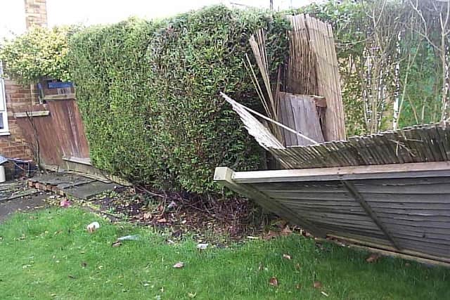 The broken fence