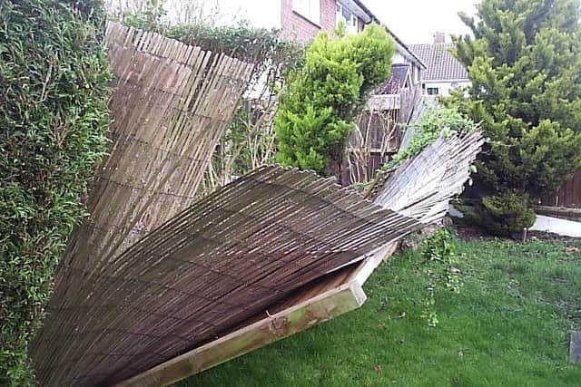 The broken fence