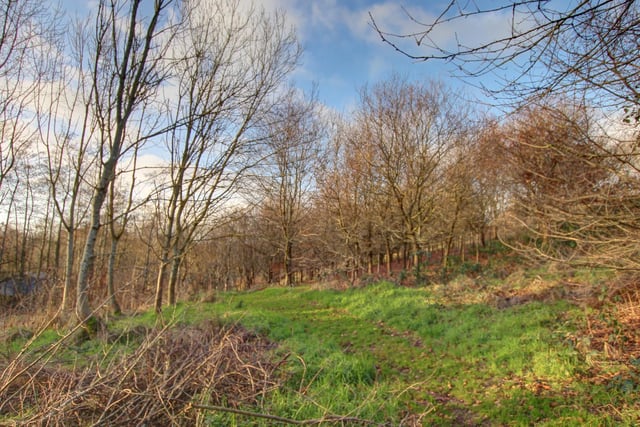 The woodland area is available as a separate Lot.