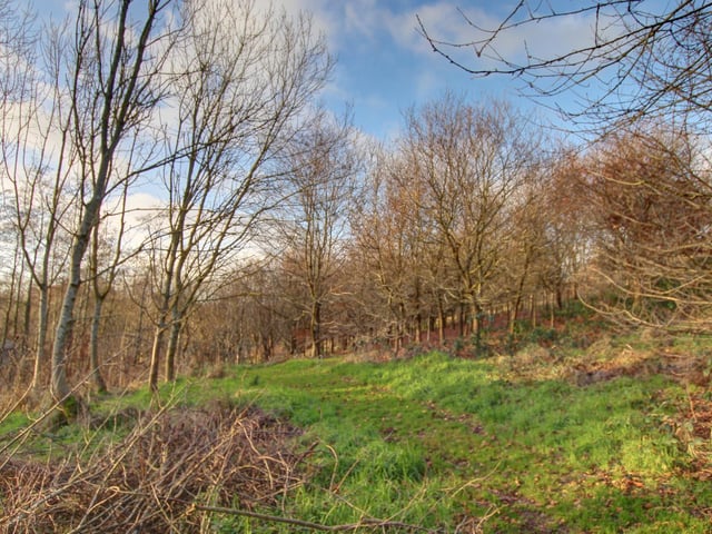 The woodland area is available as a separate Lot.