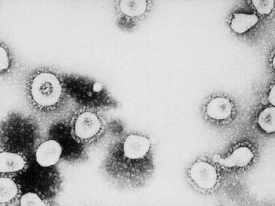 There have been no new cases of coronavirus in Dacorum in 24 hours