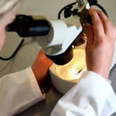 A quarter of women say they are worried about catching the coronavirus