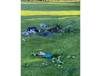 A reader sent photos of rubbish left at Heath Park on Saturday morning