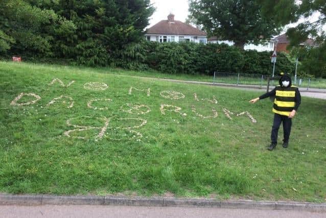 Environmental protesters give 'No Mow Dacorum' a butterfly-shaped nudge