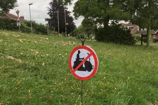 Extinction Rebellion Dacorum give 'No Mow Dacorum' a butterfly-shaped nudge