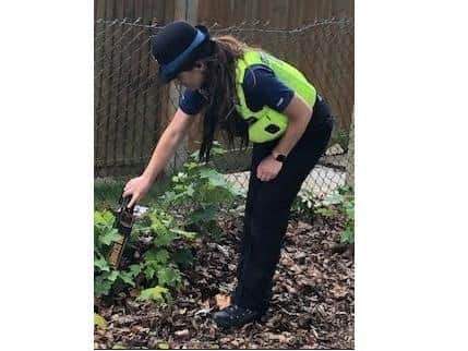 Hundreds of knives surrendered in Hertfordshire during knife amnesty