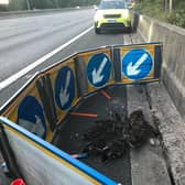 One of the rescues in Hertfordshire was 60 ducks who had strayed onto the M25 (C) RSPCA