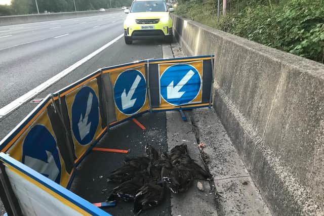 One of the rescues in Hertfordshire was 60 ducks who had strayed onto the M25 (C) RSPCA