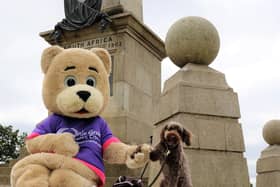 Rennie Bear mascot with Oscar the dog at Coombe Hill