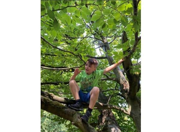 Kye has been climbing trees