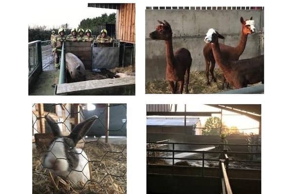Firefighters rescued animals after a fire broke out at Mead Open Farm (C) Bedfordshire Fire and Rescue
